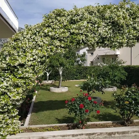 Danica Omis Appartement
